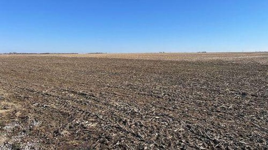 Tract 3 - 155.5 surveyed acres