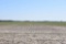 Tract 4 - 81.55 surveyed acres
