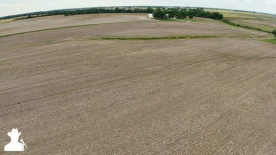 Tract 1 - 99.31 surveyed acres