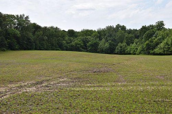 Tract 3 - 80.78 surveyed acres