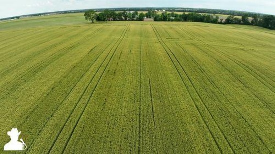 Tract 4 - 125.58 surveyed acres