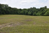 Tract 3 - 80.78 surveyed acres