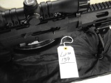 RUGER CHARGER 22 WITH BIPOD AND 2 25 ROUND MAGS