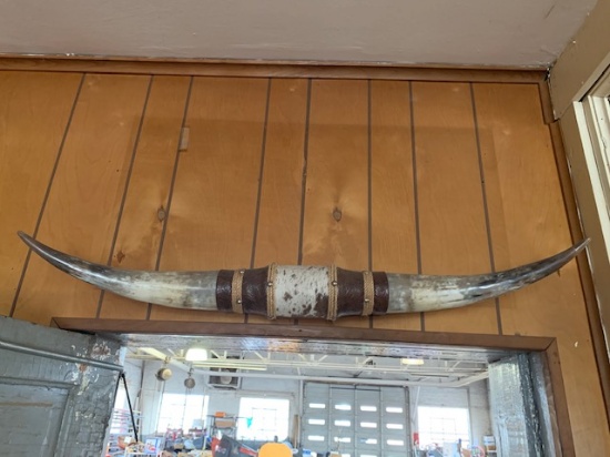 Large set of longhorns