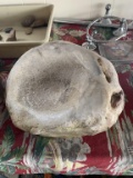 Nice mortar bowl found near Hughes, Arkansas