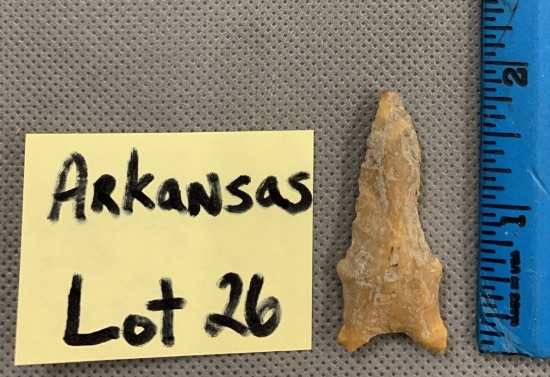 Arkansas Dalton