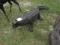 11-02662 (Equip.-Misc.)  Seller:Private/Dealer DECORATIVE METAL ALLIGATOR