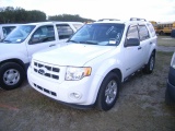 1-06247 (Cars-SUV 4D)  Seller:Hillsborough County B.O.C.C. 2009 FORD ESCAPE