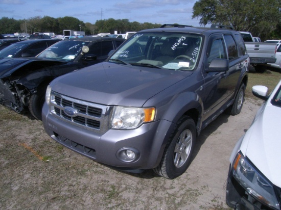 2-05116 (Cars-SUV 4D)  Seller:Florida State FWC 2008 FORD ESCAPE