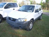 3-06210 (Cars-SUV 4D)  Seller:Hillsborough County B.O.C.C. 2005 FORD ESCAPE