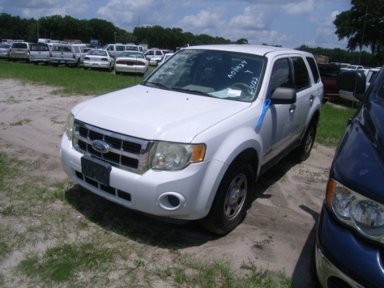 6-05122 (Cars-SUV 4D)  Seller:Hillsborough County B.O.C.C. 2008 FORD ESCAPE