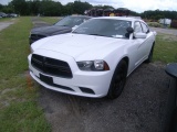 8-06119 (Cars-Sedan 4D)  Seller:Hillsborough County Sheriff-s 2013 DODG CHARGER