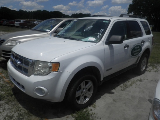 6-05116 (Cars-SUV 4D)  Seller: Gov/Sarasota County Commissioners 2008 FORD ESCAPE