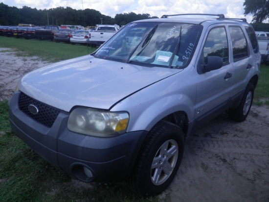 8-05119 (Cars-SUV 4D)  Seller: Florida State F.W.C. 2006 FORD ESCAPE