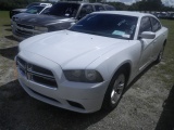 10-13116 (Cars-Sedan 4D)  Seller: Gov/Charlotte County Sheriff-s 2012 DODG CHARGER