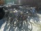 12-04222 (Equip.-Misc.)  Seller: Gov/Temple Terrace Police Depart. LOT OF ASSORTED BICYCLES