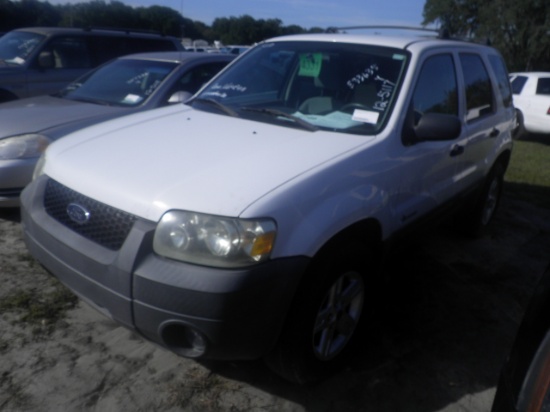 12-05117 (Cars-SUV 4D)  Seller: Gov/Manatee County 2005 FORD ESCAPE
