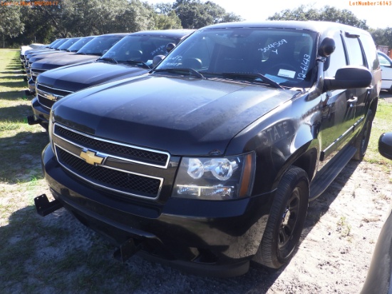 12-06143 (Cars-SUV 4D)  Seller: Florida State C.V.E. F.H.P. 2013 CHEV TAHOE
