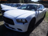12-06150 (Cars-Sedan 4D)  Seller: Gov-Hillsborough County Sheriff-s 2014 DODG CH