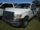 2-10210 (Trucks-Pickup 2D)  Seller: Gov-Hillsborough County B.O.C.C. 2012 FORD F