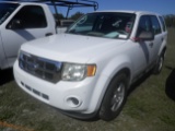 2-10223 (Cars-SUV 4D)  Seller: Gov-Hillsborough County B.O.C.C. 2011 FORD ESCAPE