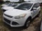 6-10117 (Cars-SUV 4D)  Seller: Gov-Hillsborough County B.O.C.C. 2013 FORD ESCAPE