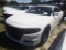 10-10118 (Cars-Sedan 4D)  Seller: Gov-Hillsborough County Sheriffs 2015 DODG CHA