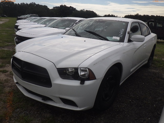 10-06116 (Cars-Sedan 4D)  Seller: Gov-Hillsborough County Sheriffs 2014 DODG CHA