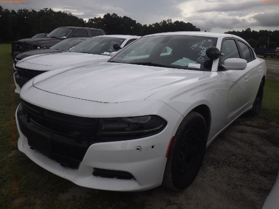 10-06133 (Cars-Sedan 4D)  Seller: Gov-Hillsborough County Sheriffs 2016 DODG CHA