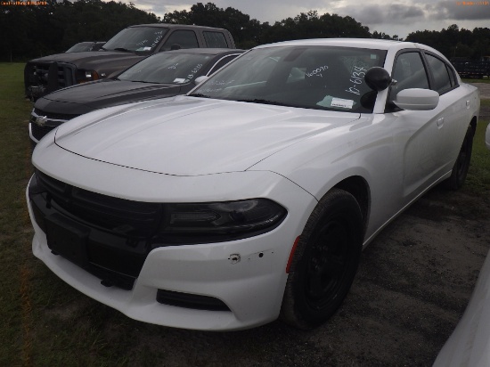 10-06134 (Cars-Sedan 4D)  Seller: Gov-Hillsborough County Sheriffs 2016 DODG CHA