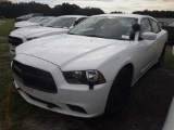 10-06118 (Cars-Sedan 4D)  Seller: Gov-Hillsborough County Sheriffs 2014 DODG CHA