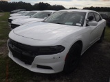 10-06117 (Cars-Sedan 4D)  Seller: Gov-Hillsborough County Sheriffs 2017 DODG CHA