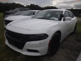 10-06133 (Cars-Sedan 4D)  Seller: Gov-Hillsborough County Sheriffs 2016 DODG CHA