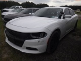 10-06126 (Cars-Sedan 4D)  Seller: Gov-Hillsborough County Sheriffs 2016 DODG CHA