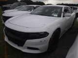 10-06122 (Cars-Sedan 4D)  Seller: Gov-Hillsborough County Sheriffs 2016 DODG CHA
