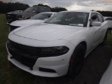 10-06123 (Cars-Sedan 4D)  Seller: Gov-Hillsborough County Sheriffs 2015 DODG CHA