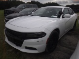 10-06134 (Cars-Sedan 4D)  Seller: Gov-Hillsborough County Sheriffs 2016 DODG CHA