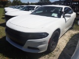 10-10119 (Cars-Sedan 4D)  Seller: Gov-Hillsborough County Sheriffs 2015 DODG CHA