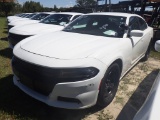 10-10118 (Cars-Sedan 4D)  Seller: Gov-Hillsborough County Sheriffs 2015 DODG CHA