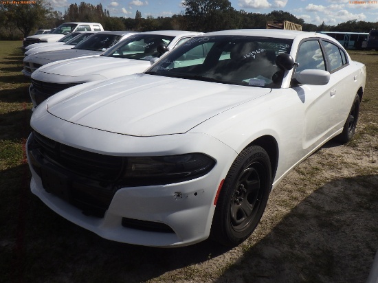 12-10116 (Cars-Sedan 4D)  Seller: Gov-Hillsborough County Sheriffs 2016 DODG CHA