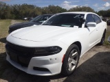 3-06138 (Cars-Sedan 4D)  Seller: Gov-Hillsborough County Sheriffs 2019 DODG CHAR
