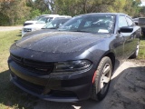 3-06159 (Cars-Sedan 4D)  Seller: Gov-Hillsborough County Sheriffs 2019 DODG CHAR