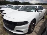 6-06131 (Cars-Sedan 4D)  Seller: Gov-Hillsborough County Sheriffs 2019 DODG CHAR