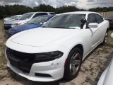 6-06133 (Cars-Sedan 4D)  Seller: Gov-Hillsborough County Sheriffs 2019 DODG CHAR