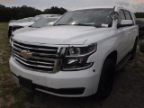 7-06126 (Cars-SUV 4D)  Seller: Gov-Hillsborough County Sheriffs 2020 CHEV TAHOE