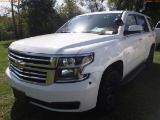 8-11152 (Cars-SUV 4D)  Seller: Gov-Hillsborough County Sheriffs 2020 CHEV TAHOE