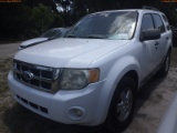 5-06167 (Cars-SUV 4D)  Seller: Gov-Hillsborough County B.O.C.C. 2011 FORD ESCAPE