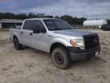 2-06115 (Trucks-Pickup 4D)  Seller: Florida State F.W.C. 2013 FORD F150