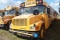 2004 International Blue Bird 3800 DT 466E 47 Passenger School Bus