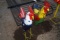 2 Chickens Art